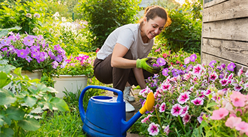 Home & Garden